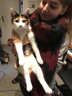 1 Kastration Luna ohne Body