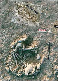 Ältestes Grab Katze