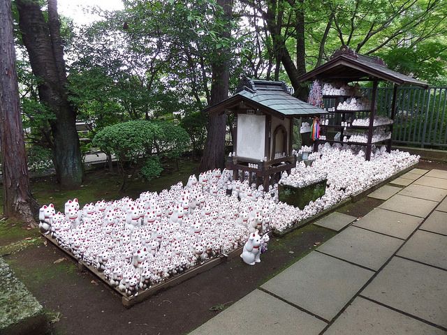 Gotoku ji Tempel Katzen
