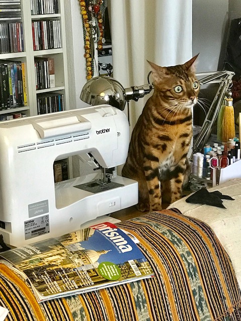 Timur geht ins&nbsp;Ferienlager