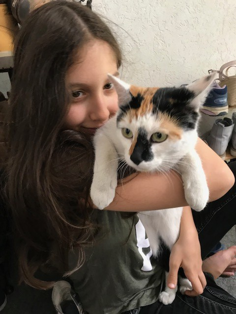 Lola in der&nbsp;Fremde